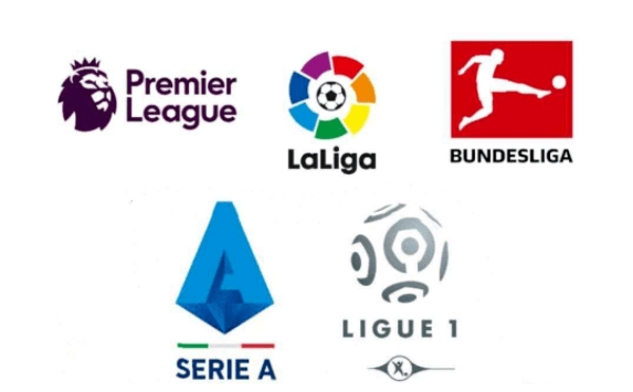 而决定权在 而决定权在